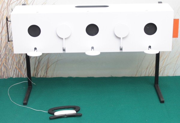 Мишень Биатлон -4